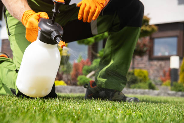 Best Pest Control for Homes  in Ada, OH
