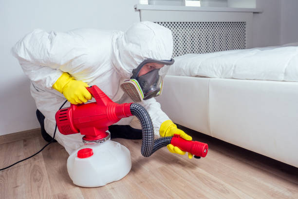 Best Wasp Removal Services  in Ada, OH