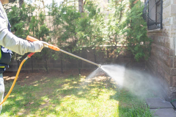 Insect Control in Ada, OH