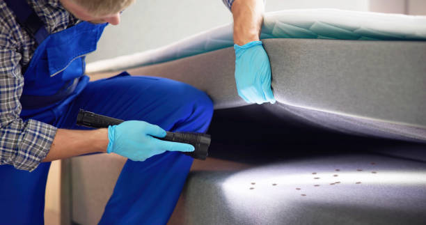 Best Wasp Removal Services  in Ada, OH