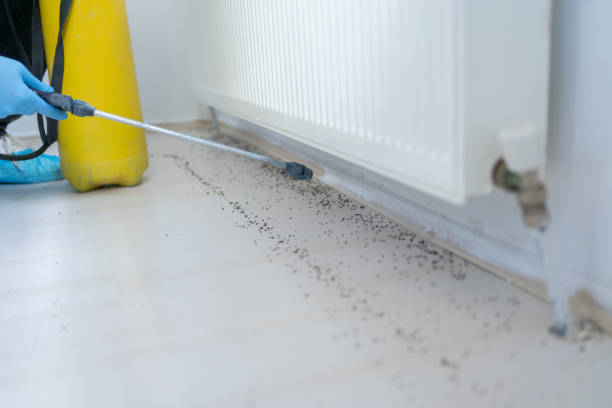 Best Pest Prevention Services  in Ada, OH